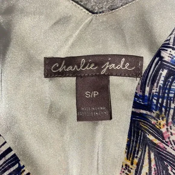 Charlie Jade, Colorful Boho, Feather Print Maxi Dress - Picture 8 of 16